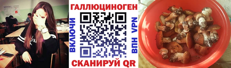 кракен вход Бахчисарай Галлюциногенные грибы мухоморы