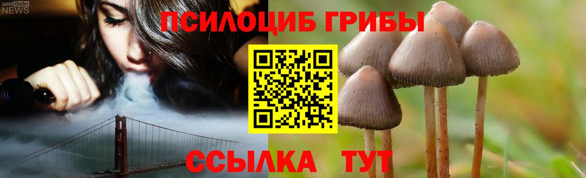 Бахчисарай  Псилоцибиновые грибы мухоморы  Вход с VPN 